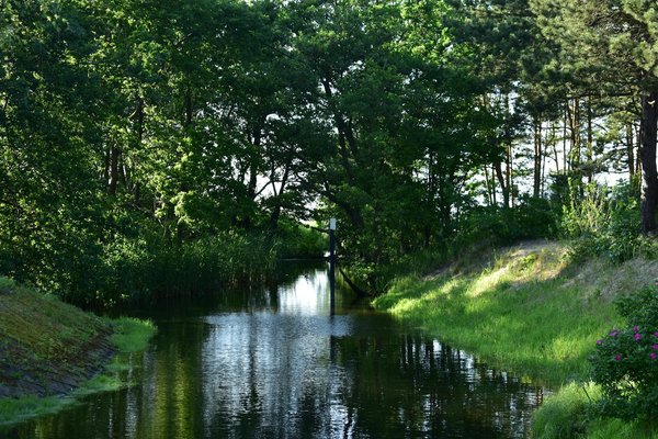 Comment favoriser un climat de confiance entre les médecins et les patients atteints de maladies chroniques ?